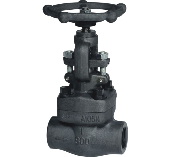 API602 Class800#  Gate Valve