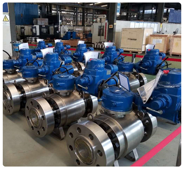 Gear operated Trunnion Mounted Ball Valve